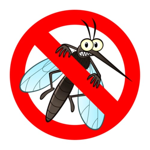 Bergen County Nj Pest Control And Wildlife Removal Near Me 2