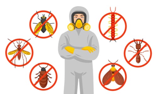 Bergen County Nj Pest Control And Wildlife Removal Near Me 1