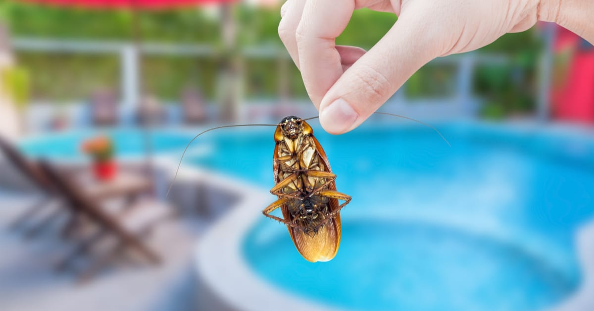 Pest Control For HOA's, Condo Associations, And Property Managers